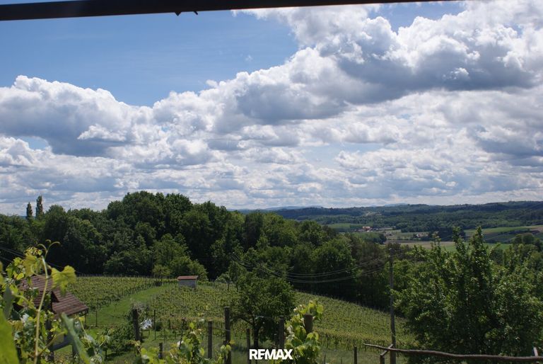 Weitblick