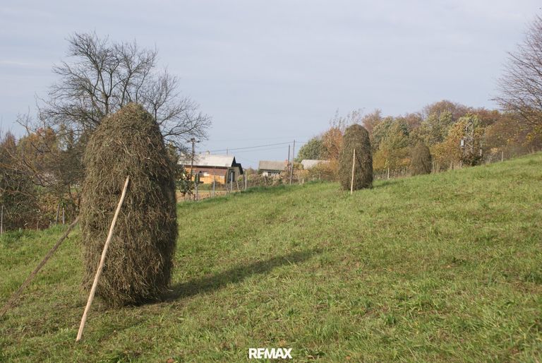 Heuernte
