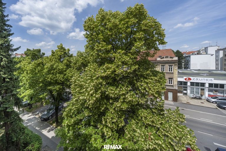Ausblick Fenster Wohnung 1190 wien