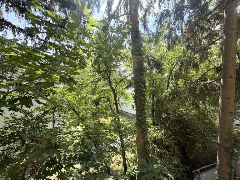 Ausblick vom Kabinett 1 von 2