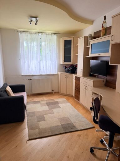 Büro/Esszimmer