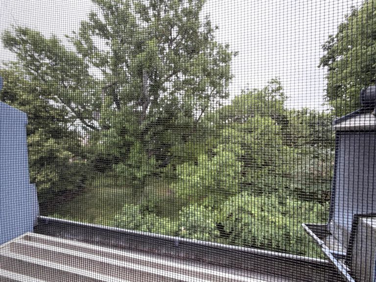 Schlafzimmer 1 von 2 / Ausblick, Insektengitter