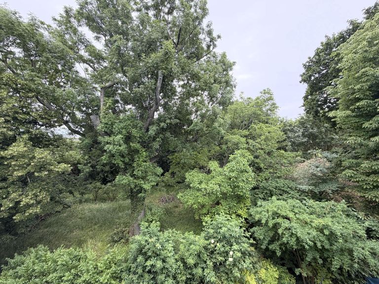 Schlafzimmer 2 von 2, Ausblick