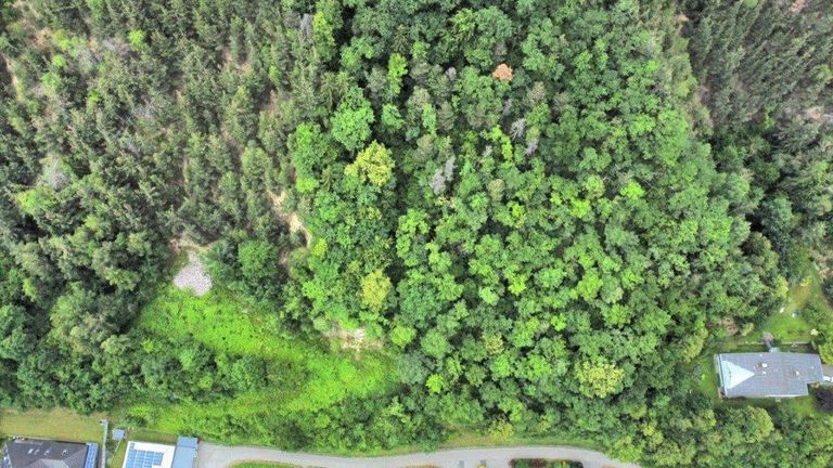 dji_fly_20260617_171238_578_1781709165587_photo_op