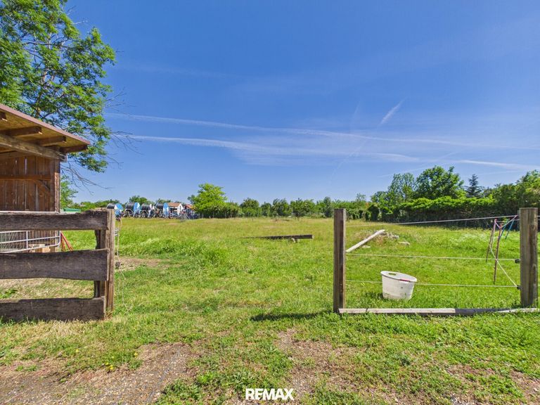 Platz für Pferde, Tiere und für Ideen