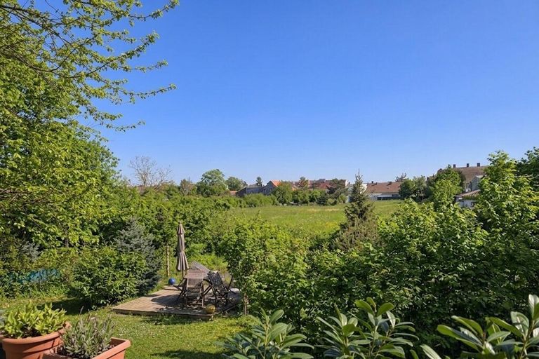 Garten (2)