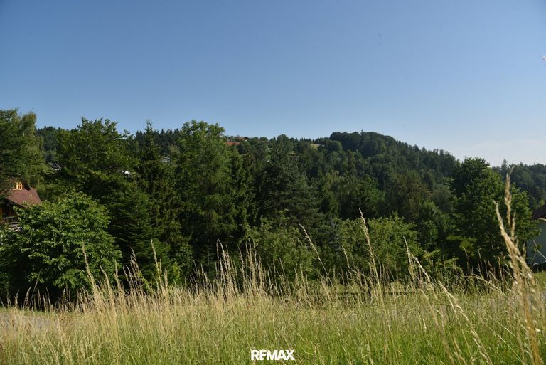 Ausblick