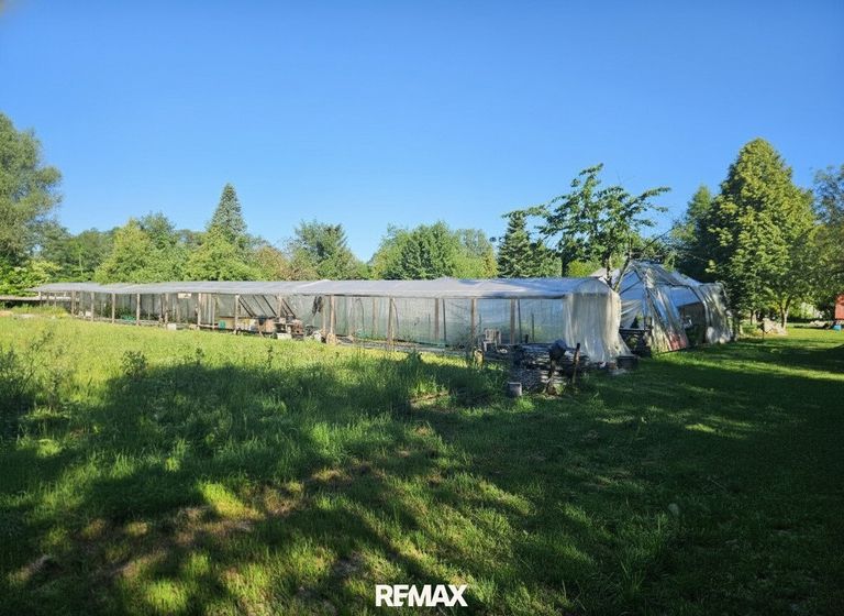 Teich und Gewächshaus (defekt)