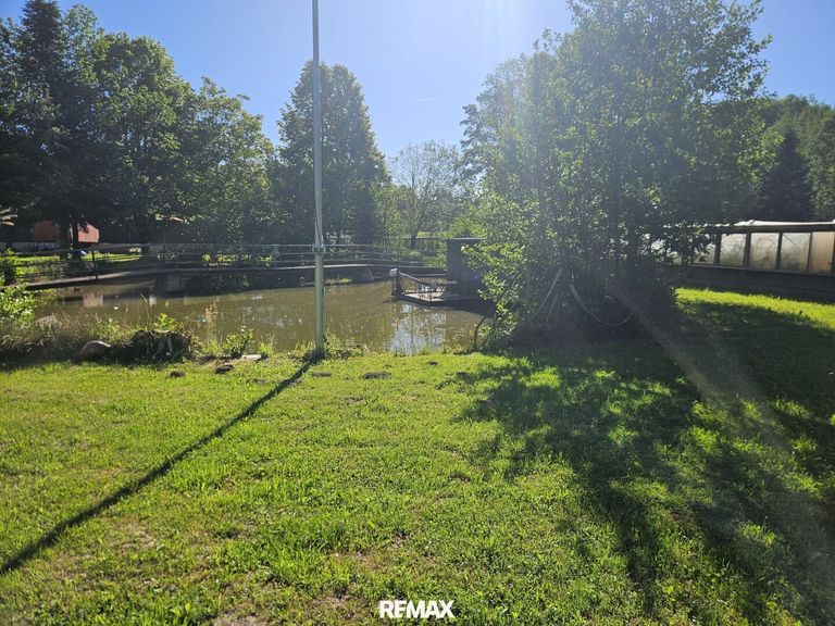 Teich und Gewächshaus