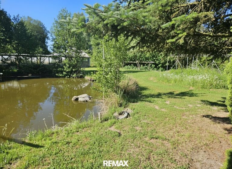 Teich und Nutzgrund