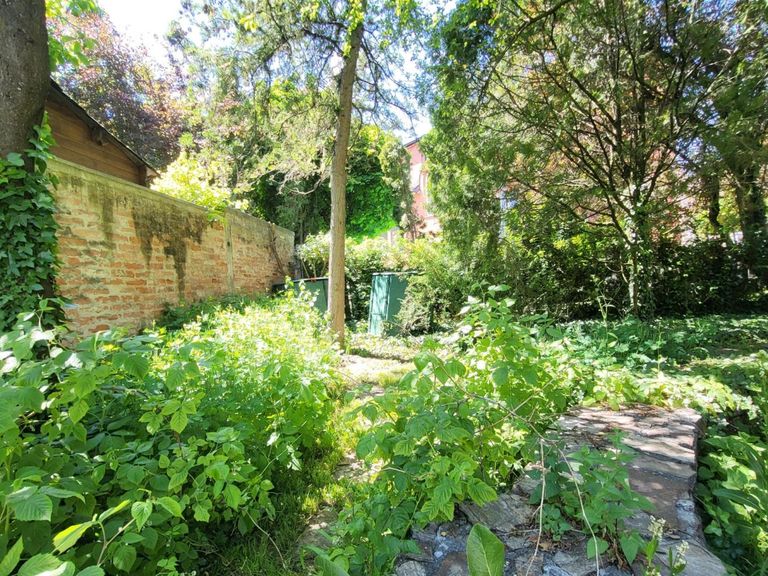 14 Naturgarten