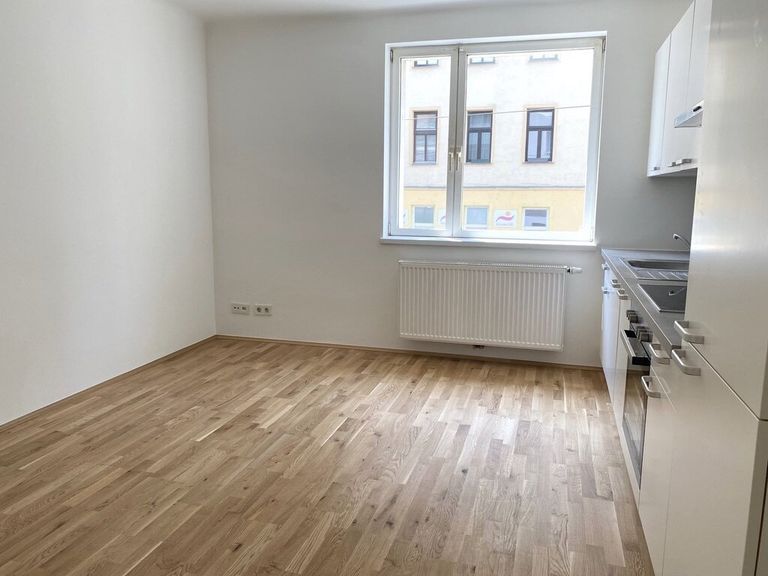 Zimmer 1 (mit integrierter Küche)