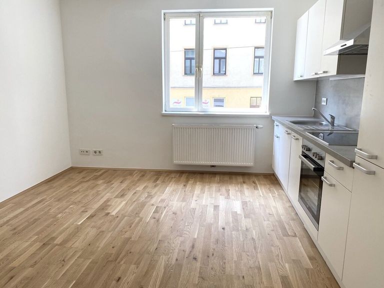 Zimmer 1 (mit integrierter Küche)