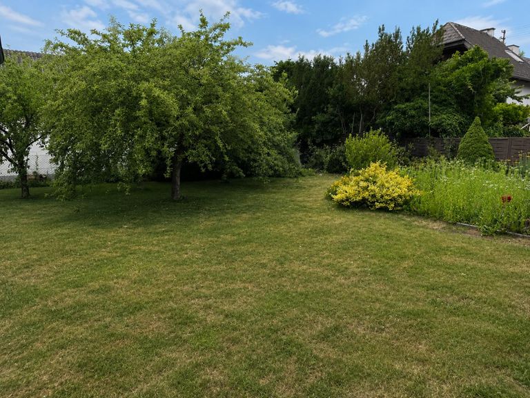 Garten in Richtung Nord