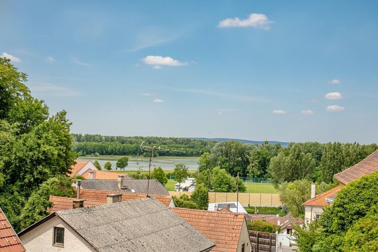 Donaublick