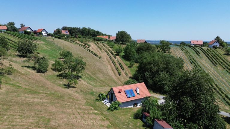 Drohnenansicht Weingärten