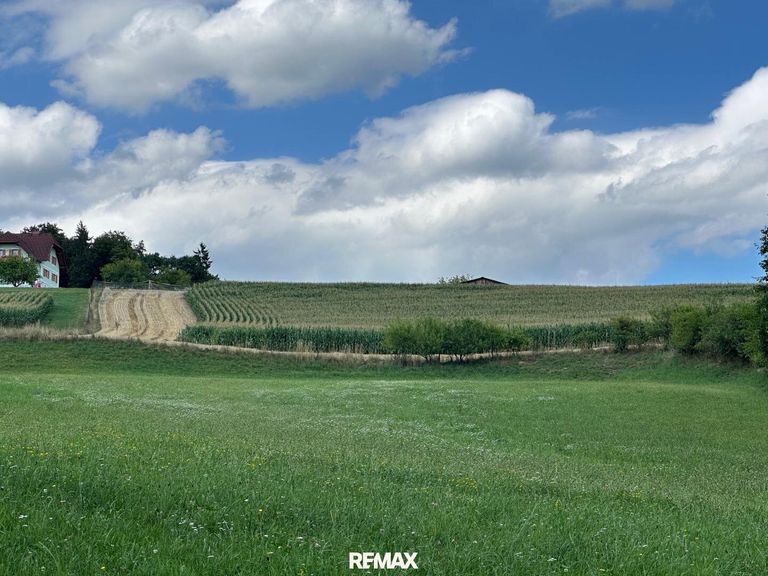 Landwirtschaft