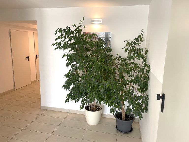 Wohnhaus Eingangsbereich