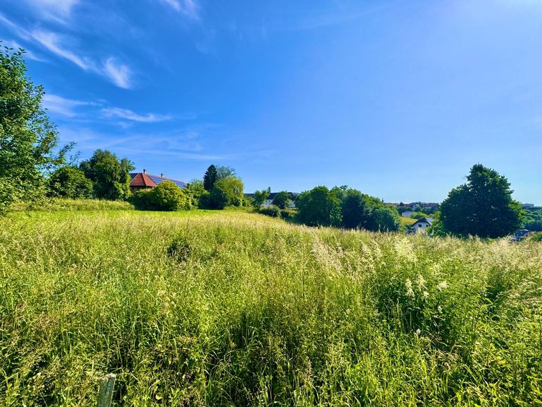 Grund mit Aussicht