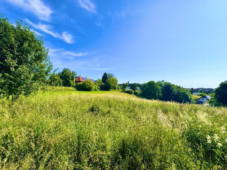 Grund mit Aussicht