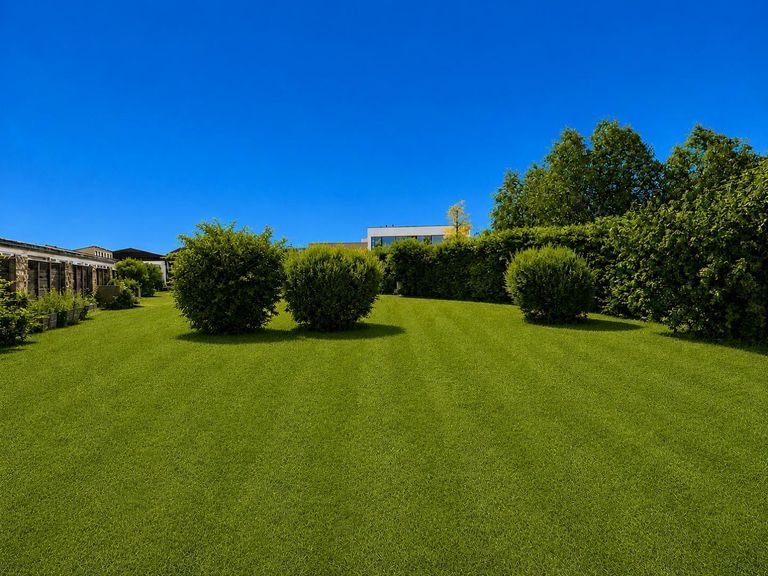 Garten mit Potential Betriebsbaugebiet