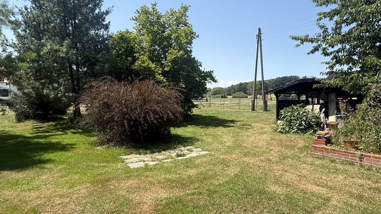 hintere Garten