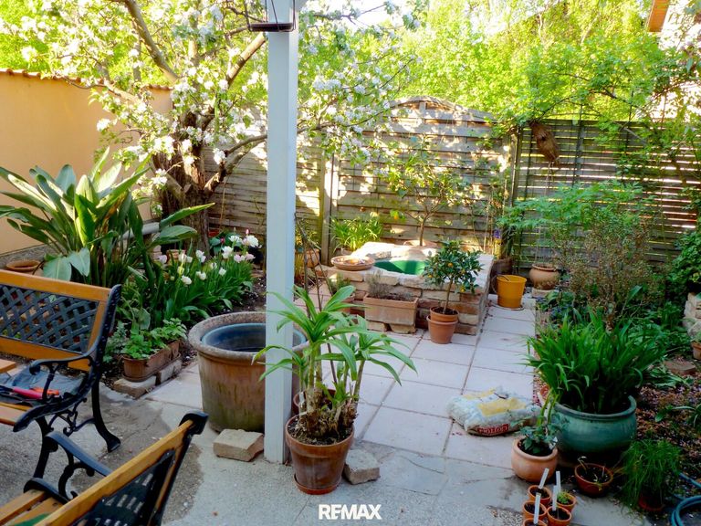 Garten im Sommer