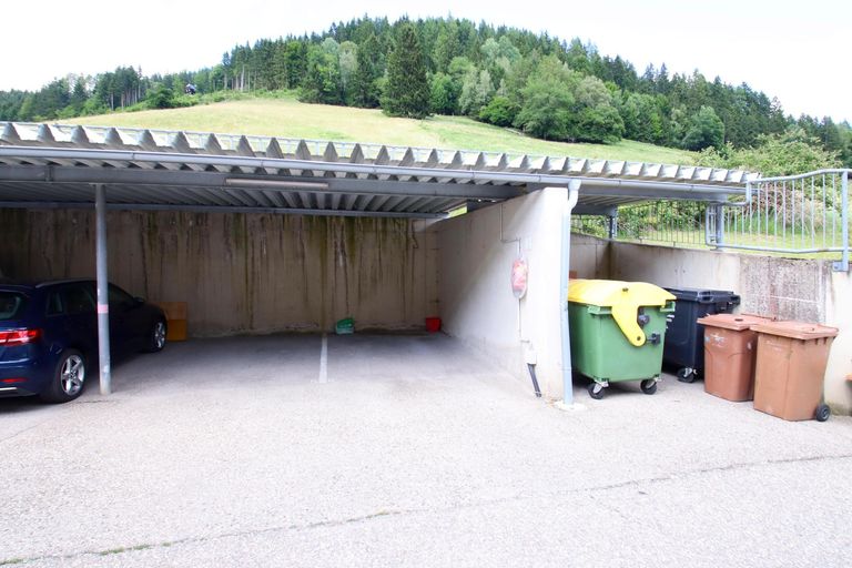 DPA105_IMS_Carport