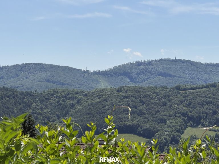 Fernblick