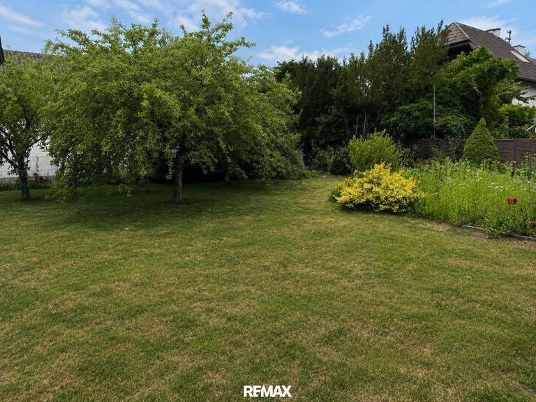 Garten in Richtung Nord