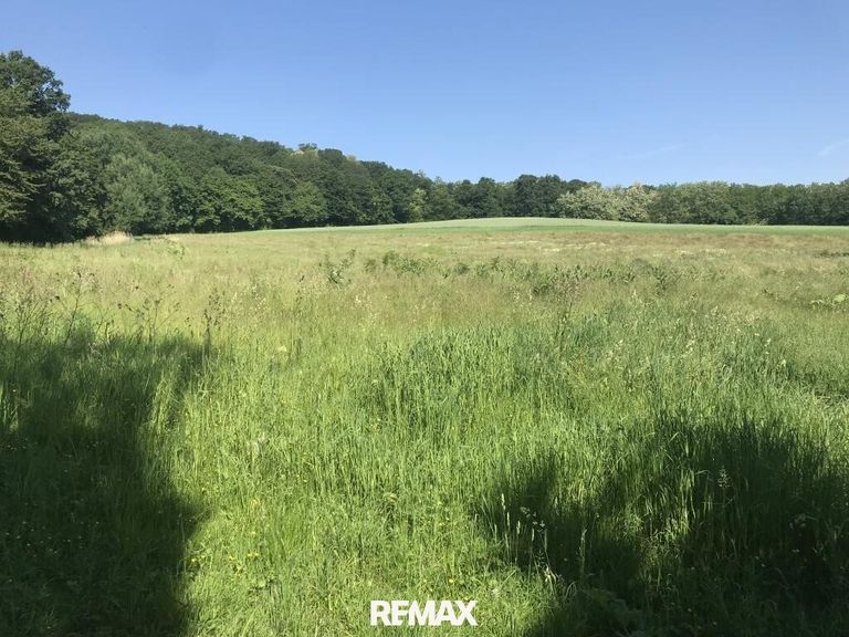 Ausblick Richtung Westen