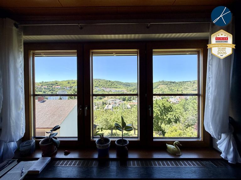 Panoramafenster mit Ausblick
