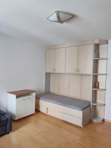 Wohn:Schlafzimmer