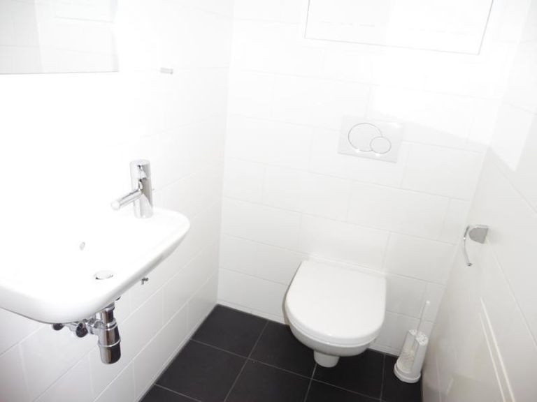 modernes WC mit Waschbecken