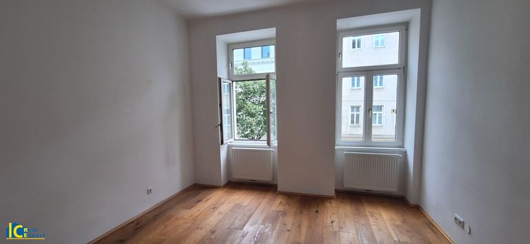 Baumzeile in der Straße