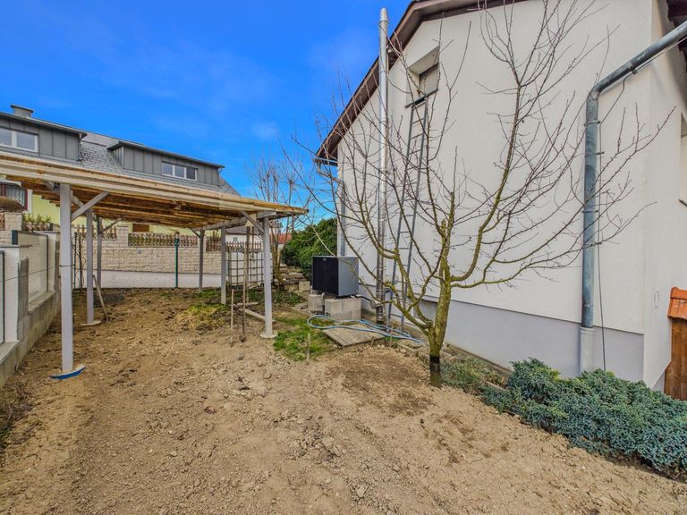 Gemüsegarten 1