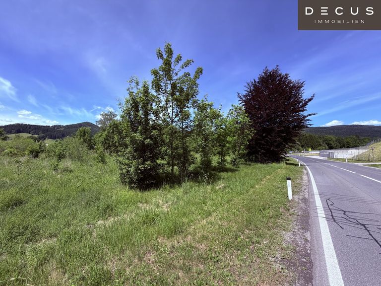 Blick auf das unbebaute Grundstück von der Umfahrungsstraße aus