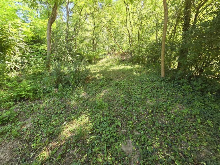 Wald