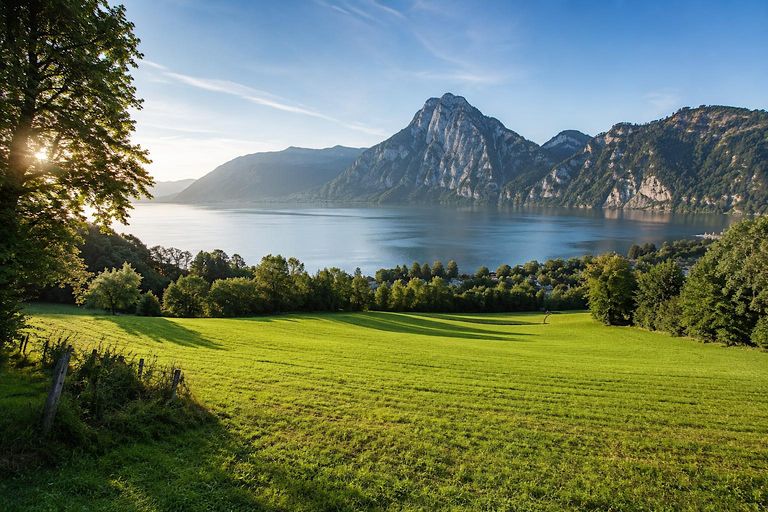 Beispielfoto ! Landwirtschaftlicher Nutzgrund