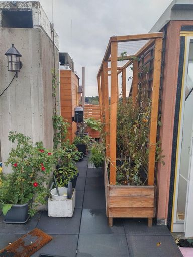 Dachterrasse 3 ETW