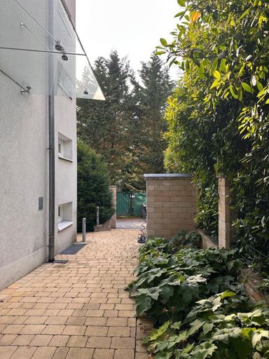 Haus