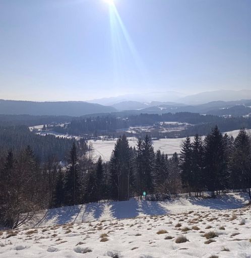 Ausblick