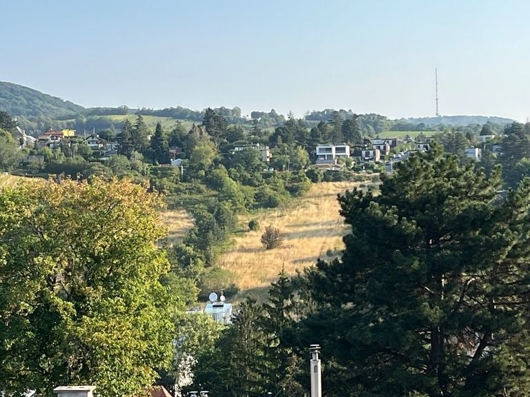 Ausblick