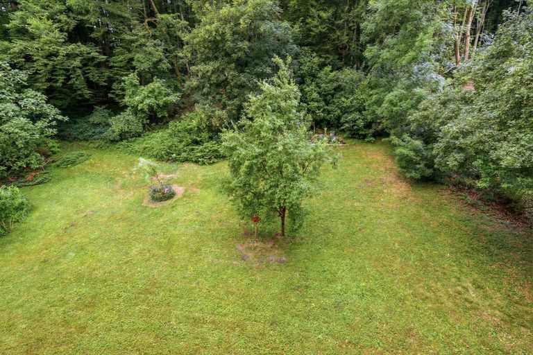 17 Gemeinschaftsgarten
