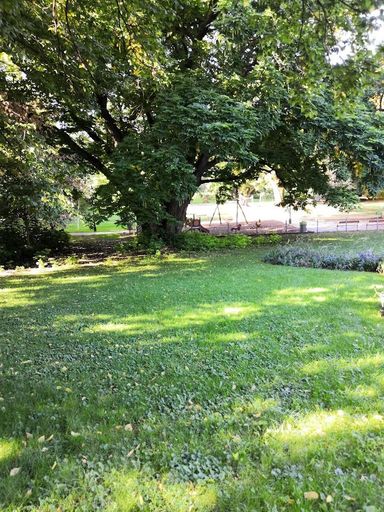 Waldmüller Park, Alte Bäume