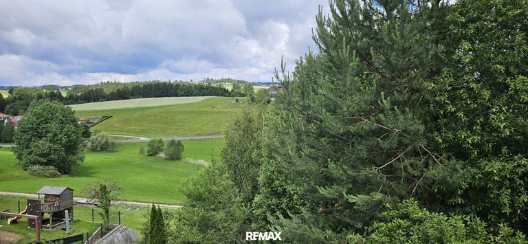 Ausblick ins Grüne