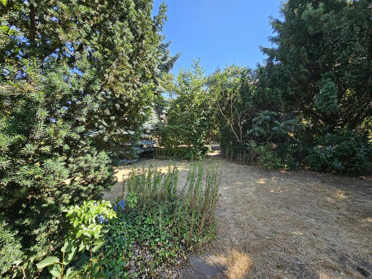 Garten (7)