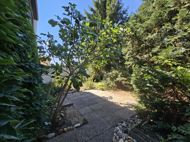 Garten (2)