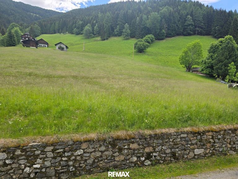 grüne Wiesen 