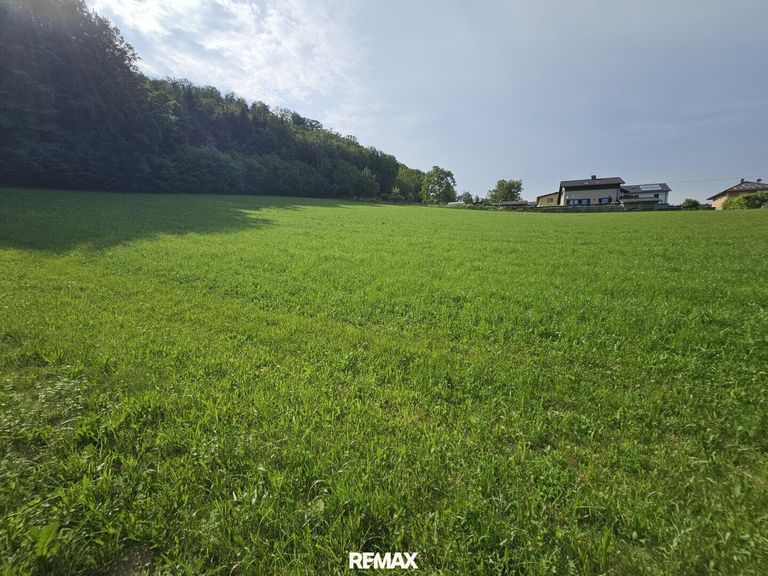 Blick nach oben